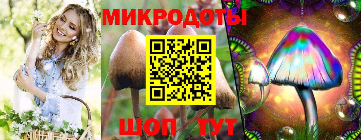 Псилоцибиновые грибы Psilocybine cubensis  купить закладку  Грозный  Псилоцибиновые грибы ЛСД  Вход с VPN 
