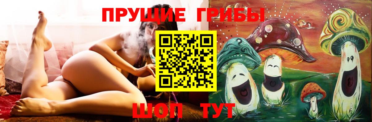 Псилоцибиновые грибы ЛСД Грозный